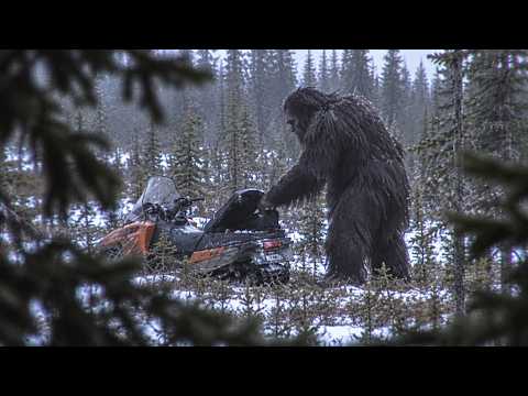 Mysterious Things Seen in the Most Remote Parts of Alaska