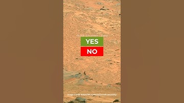 Mars Green Alien Lady, Really? Life on Mars #shorts