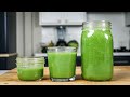 Vitamix Green Juice: Everything You Ought to Know!