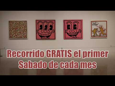 Visita la nueva
