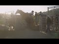 Slow Motion Bronc Riding in 4k | Layton Green on Cole