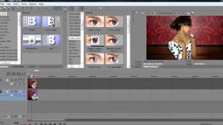 Sony Vegas Tutorial | Effect #4