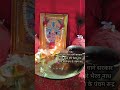 जय लाल धागे सरकार #paras #radhika #laldhagewalababa #shortfeed #bhakti