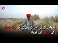 Cholistan S Call Folk Singer Pleads For Rain Cholistan S Call Folk Singer Pleads For Rain