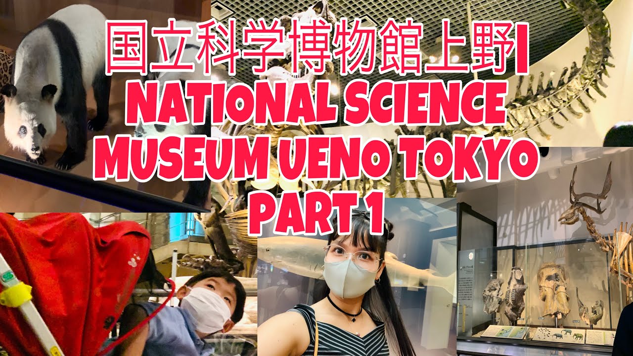 国立科学博物館上野 NATIONAL SCIENCE MUSEUM UENO TOKYO part 1 YouTube