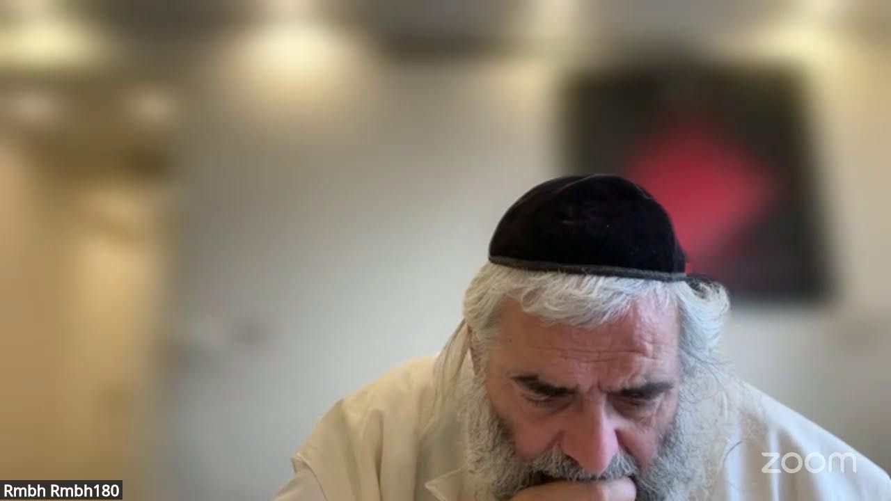 Daf HaYomi - Zevahim 106