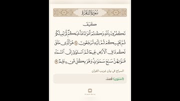سورة ٢ الآية ٢٨ إلى الآية ٢٩: السراج في بيان غريب القران سورة البقرة مع تلاوة الشيخ بدر التركي