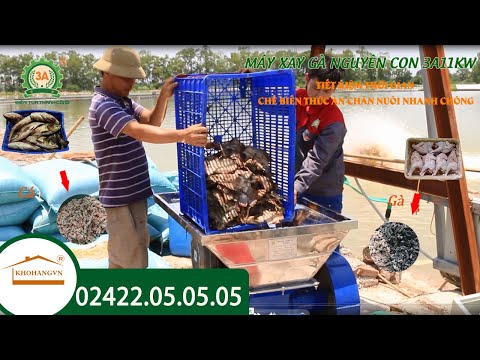 Video: Cá Trong Máy Thổi Hơi: Công Thức Nấu ăn