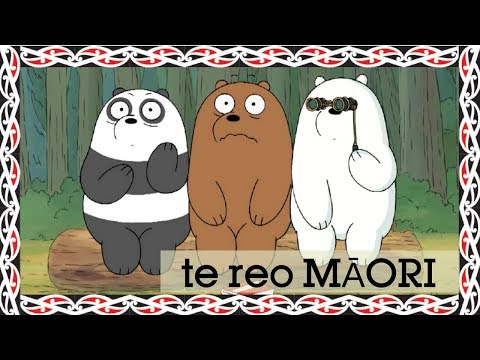 Video: Čo je to maorská rezervácia?