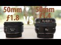 Canon 50mm f1.8 STM vs 50mm f1.4 USM Lens