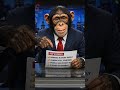 THE ANCHOR IS A MONKEY?! 😳”“BREAKING NEWS 🐒📺#MonkeyAnchor #BreakingNews