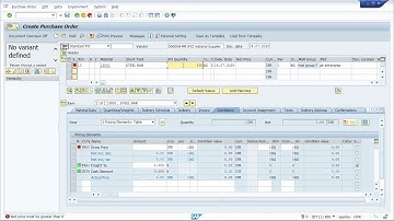 Purchasing Info Record | How to create info Record | Info Record | Master Data | PIR |
