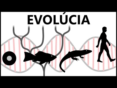 Video: „Temná DNA“by Mohla Zmeniť Naše Chápanie Evolúcie - Alternatívny Pohľad