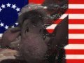 The Rise of Political Parties in Early American History
