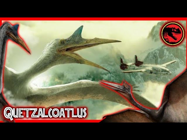 Ikessauro: Pterodactylus