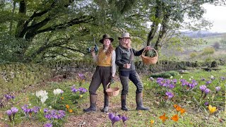 200 Bulbs Planted!  Autumn to Spring! + Bridge Finished! Life at our Scottish Farmhouse!