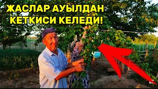 Суусызлықтада Тынбаған Полат Ата Хақыйқый Мотивация