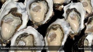 Running Oyster Farm Lease – Immediate Income – Bruny Island, TAS