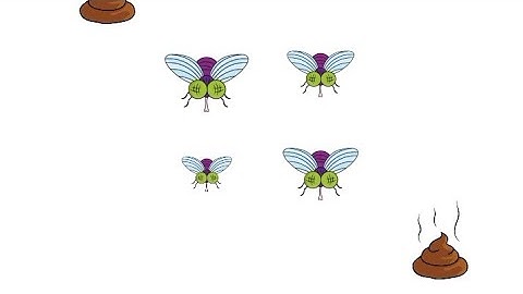 Trick Me: Brain Teasers Puzzle Level 104 Solution Walkthrough (Trick Me)