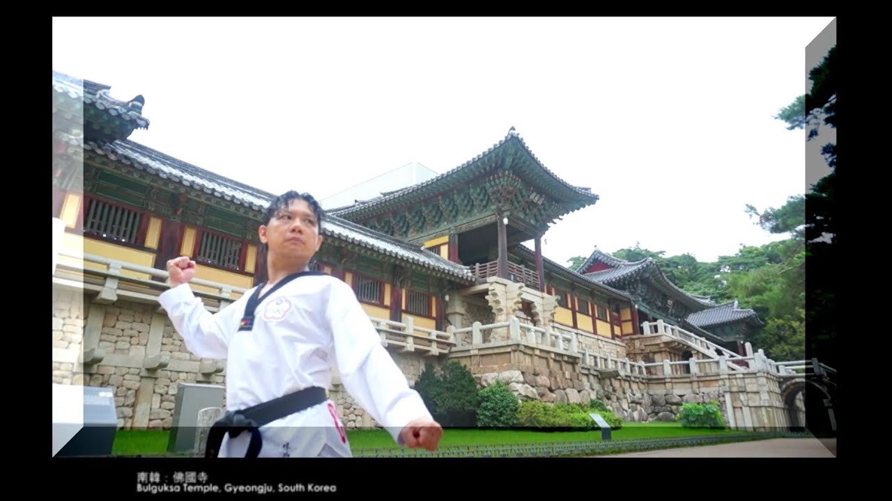 08 太極八章 太极八章 Taegeuk 8 Jang 跆拳道品勢
