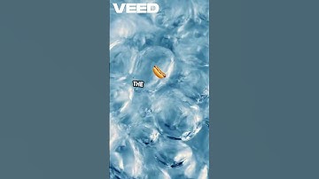 Uncovering the Magic of Microwaves! #facts #science #Engineering #tech #learning