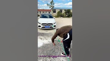 Physics Hack Pull a Car Effortlessly with Two Ste