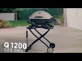 Q 1200 gas grill titanium  weber grills