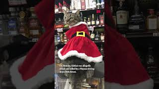 SF neighborhood mourns loss of bodega cat allegedly killed by Waymo