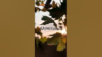 إِنَّ الدِّينَ عِندَ اللَّهِ الْإِسْلَامُ || سورة آل عمران || علي جابر