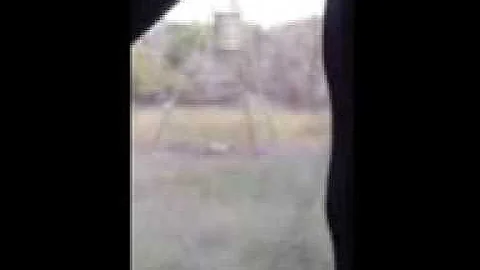 Deer  hunt with crossbow