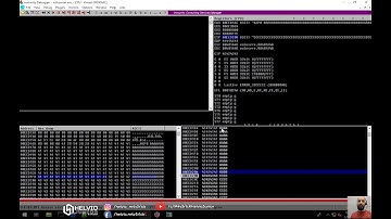 Buffer Overflow - Conceitos e Exploração
