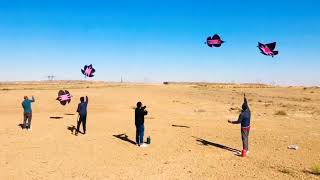 Kite Flying in open  place  #basant2021 #kiteflying #basantfestival #besutifulkites  #Lusshawa