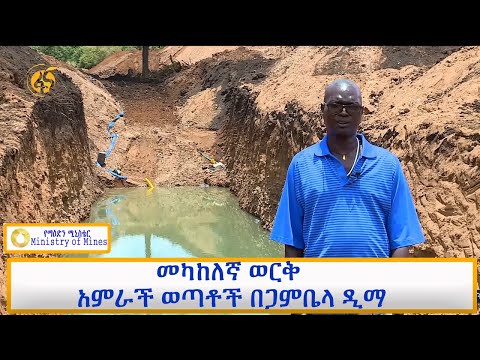 ቪዲዮ: የወረርሽኙን ወረርሽኝ ያሸነፈው ድንቅ የቫይሮሎጂ ባለሙያው እስር ቤት ውስጥ እንዴት እንደደረሰ አካዳሚስት ሌቪ ዚልበር