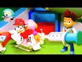 PAW Patrol パウパトロール (#494) ケントがチェイスに注射をぶすっ！？マーシャルもつきそいにきて！