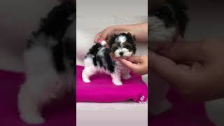 ❤️‍🔥❤️‍🔥❤️‍🔥 #photo #photooftheday #photogrid #photoshoot #photographer #photos #photograph