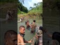 men vs wildlife , assam // বনৰক্ষী ৰ জীৱন আৰু প্ৰকৃতি । // প্ৰকৃতি // river// নদী