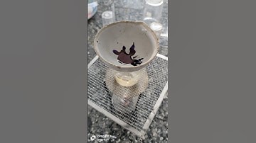 How to obtained colored component (dye) from blue ink? #shorts #viral #trending #experiment