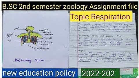 B.SC 2nd semester, zoology Assignment file, Topic Respiration