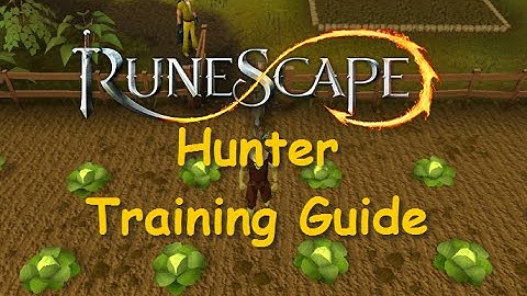 Runescape Training Guide: 1-99 Hunter [Legacy Mode and EOC] - Runescape iAm Naveed 2015