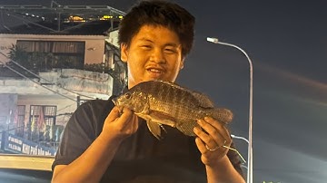 Chia Sẻ Điểm Câu Cá.Rõ Phi.Cá Trê…cá ăn liên tục 😻