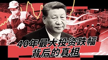 中国2亿人困在系统里! | 40年最大投资跌幅背后的真相 | 顶层技术狂欢与底层生存挣扎 | 2026中国经济预测 🎙️IN核播客