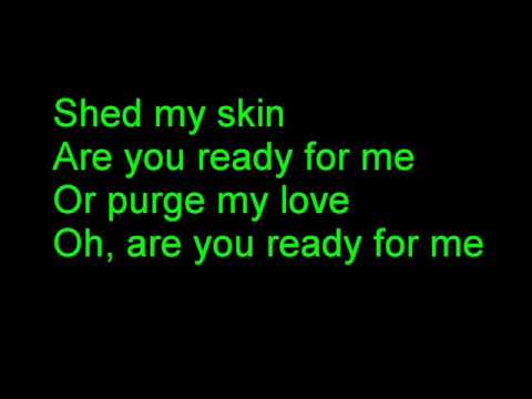 Shed My Skin Karaoke Alter Bridge - YouTube