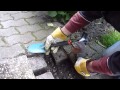 Zahmer Eichelhäher bei der Gartenarbeit