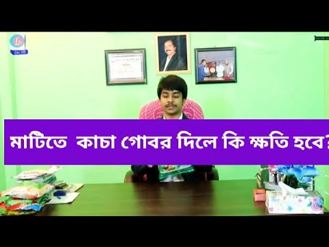 জমিতে সরাসরি গোবর দিলে কি ধরনের ক্ষতি হতে পারে?? জৈব সার ব্যাবহার করুন মাটির শক্তি বাড়ান।#LtvHD