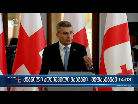 ძებნილი ზურაბ ადეიშვილი ჰააგაში - შეფასებები