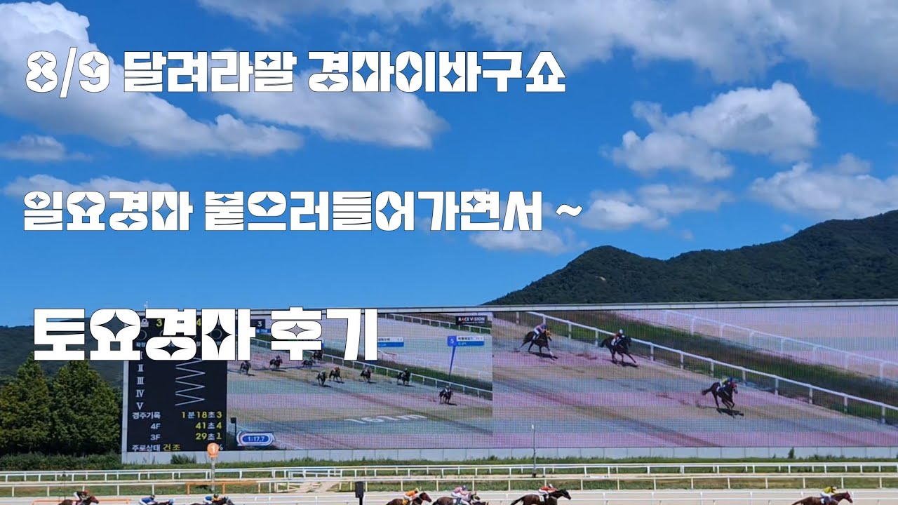 경마야! 내가사면대체 왜 그러니!(황당했던 8.15광복절 기념경주 이바구쇼)
