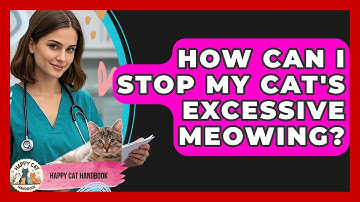 How Can I Stop My Cat