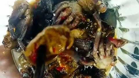 Nông Trại Quê - Ba Khía Rạch Gốc Cà Mau