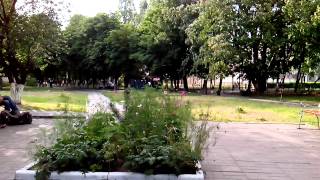 VID 20120719 175932