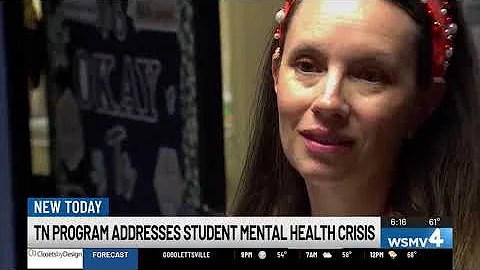 School-Based Behavioral Health Liaison: Rutherford Co. Success Story